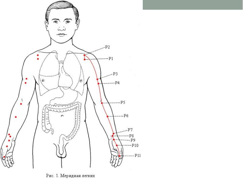 Китайская точка. Меридиан легких. Меридиана легкого схема. Точки кишечника на теле.