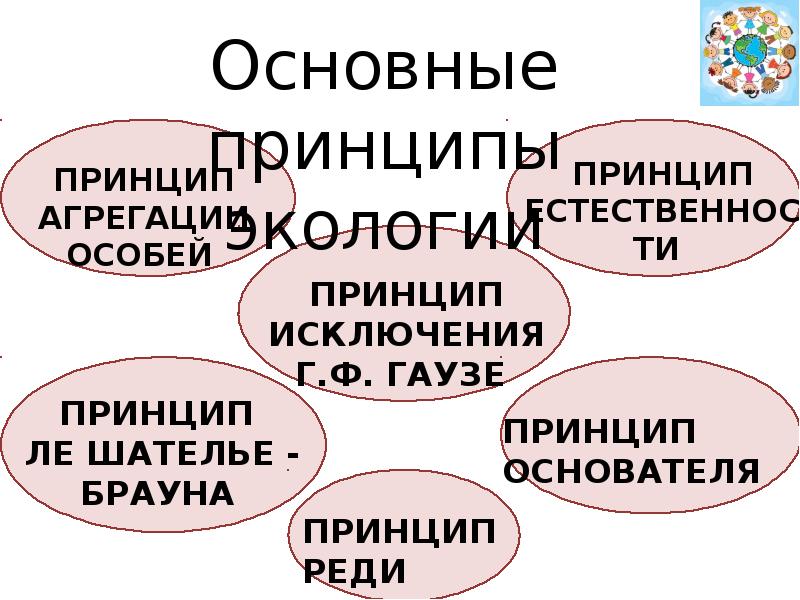 Принцип от легкого к трудному. Основные принципы экологии. экологический принцип исключения. принцип исключения. правило (принцип) экологического дублирования.
