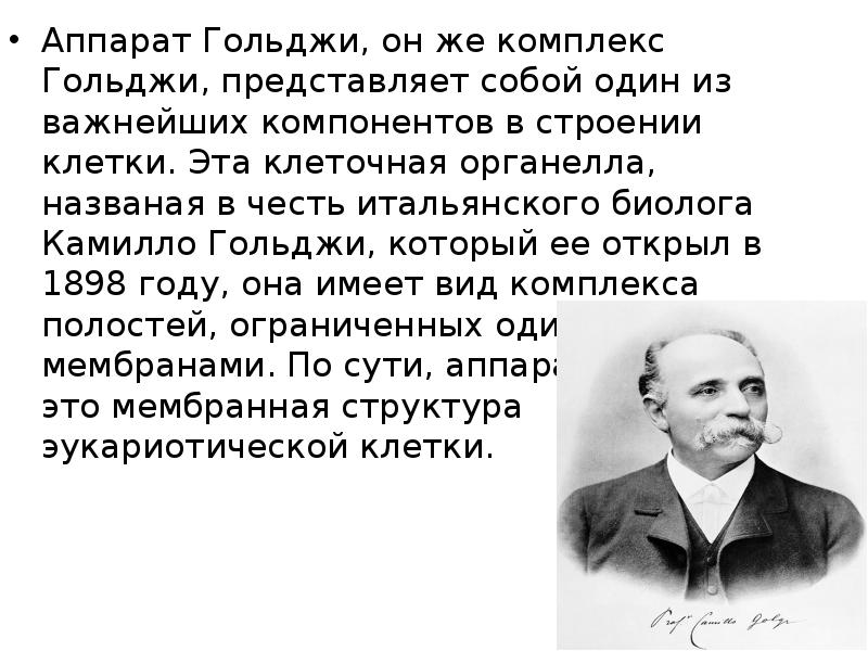 Аппарат Гольджи, он же комплекс Гольджи, представляет собой один из важнейших Аппарат Гольджи, он же комплекс Гольджи, представляет собой один из важнейших