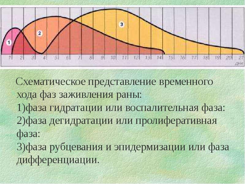 Клиническая картина в фазе гидратации