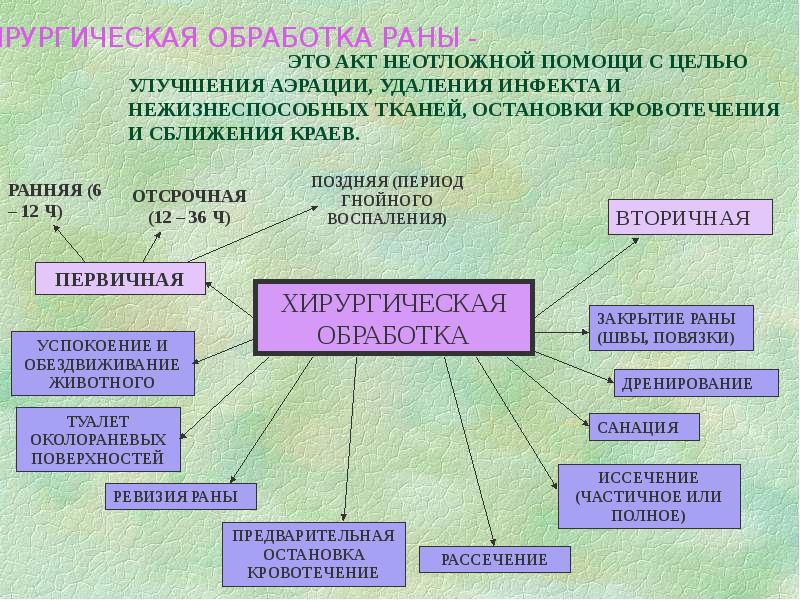 Классификация ран презентация