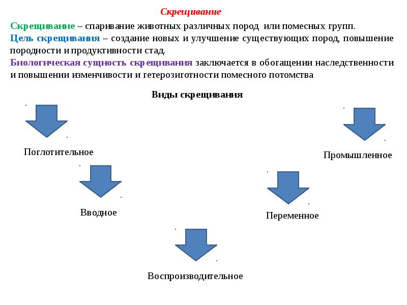 Промышленное и переменное скрещивание цели применения и схемы проведения