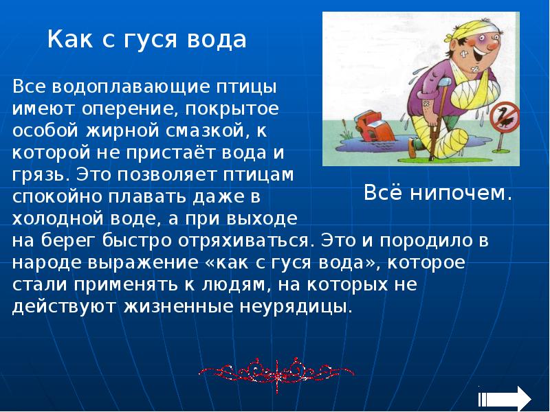 Предложение с водой. Как с гуся вода фразеологизм. Как с гуся вода. Как с гуся вода что это значит. Как с гуся вода значение.