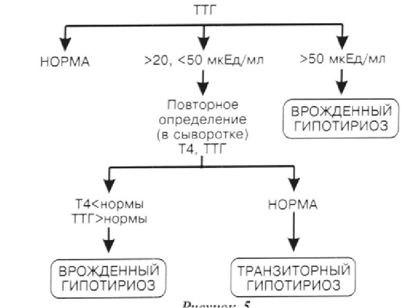 Врожденный гипотиреоз презентация