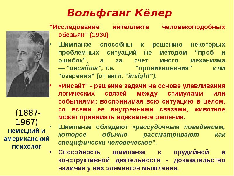 Исследование интеллекта. Во́льфганг кёлер. Вольфганг кёлер зоопсихология. Исследование интеллекта человекоподобных обезьян. Методы изучения интеллекта в психологии.