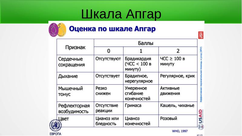 Оценка новорожденного по шкале апгар презентация