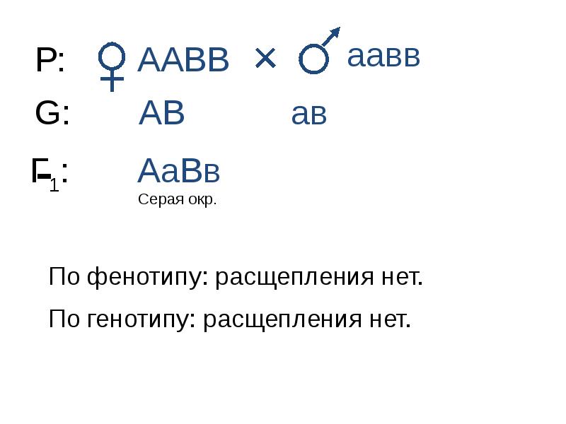 Закон г связи. Скрещивание аабб и ААВВ. ААВВ Х ААВВ фенотип и генотип. ААВВ ААВВ расщепление по фенотипу. ААВВ Х ААВВ расщепление по фенотипу.