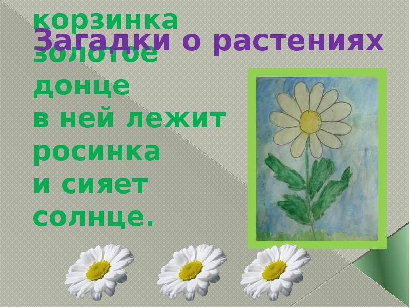 Солнце солнце золотое донце