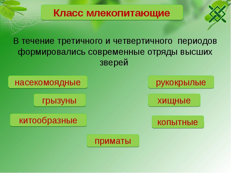 7 класс усложнение строения животных презентация