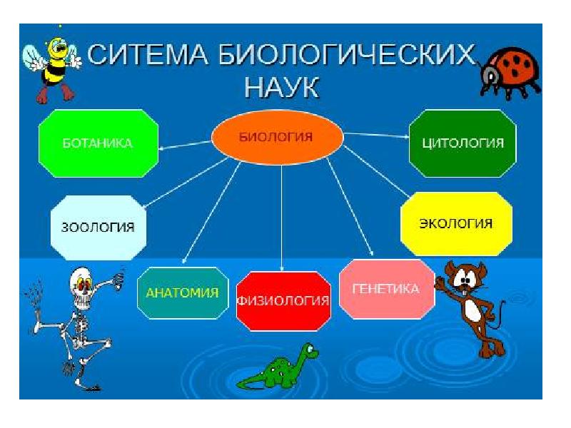 Методы изучения биологии презентация