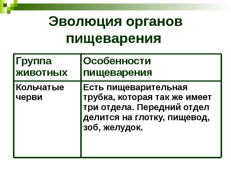 Эволюция органов. Эволюция пищеварительной системы животных. Эволюция пищеварительной системы животных таблица. Эволюция пищеварения у животных таблица. Эволюция органов пищеварения животных таблица.