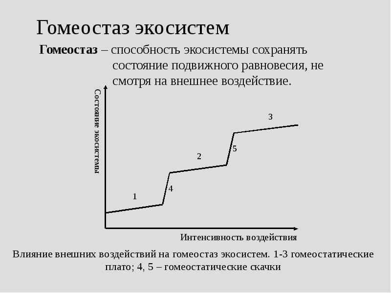 Гомеостаз экосистем  Гомеостаз – способность экосистемы сохранять состояние подвижного равновесия,