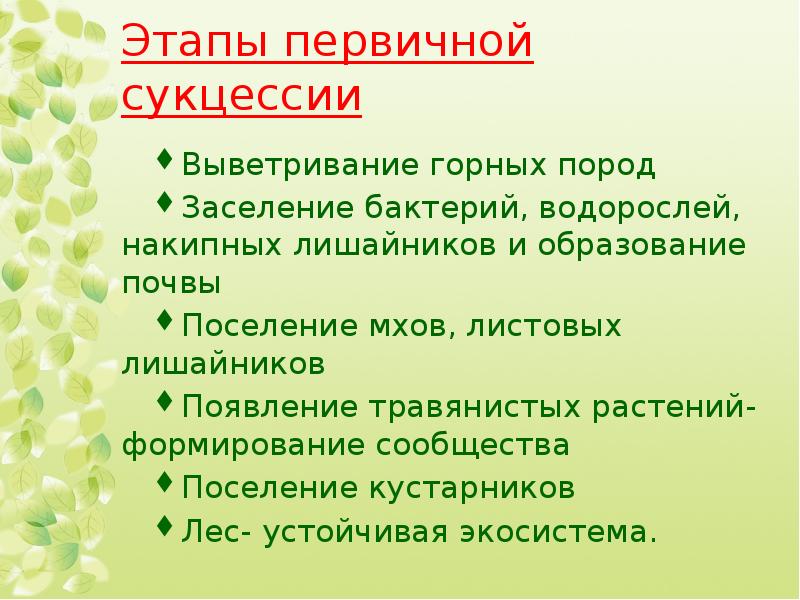 Этапы первичной сукцессии Выветривание горных пород Заселение бактерий, водорослей, накипных лишайников