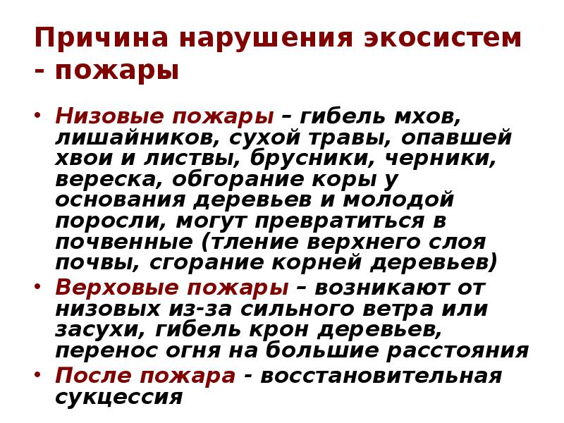 Причина нарушения экосистем - пожары Низовые пожары – гибель мхов, лишайников,