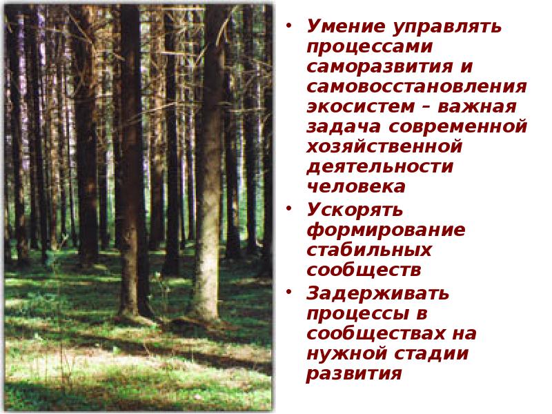 Умение управлять процессами саморазвития и самовосстановления экосистем – важная задача современной
