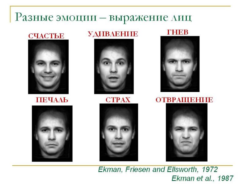 Пол экман презентация