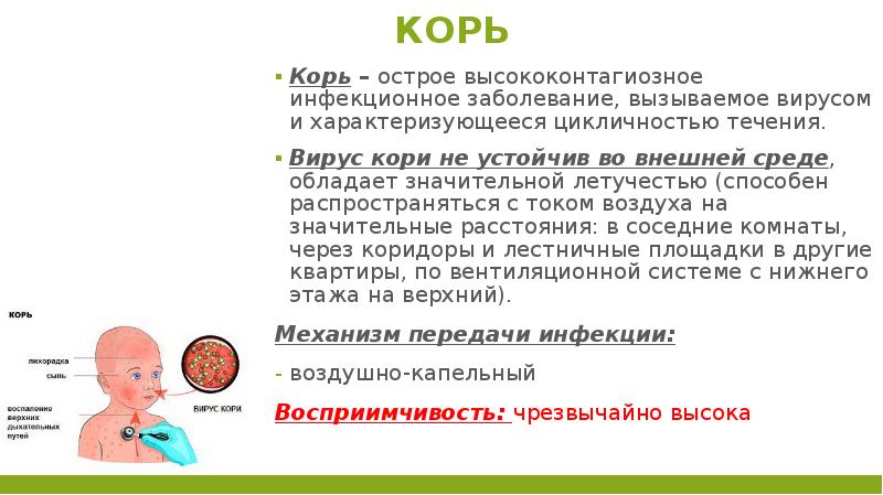 Презентация по кори для врачей