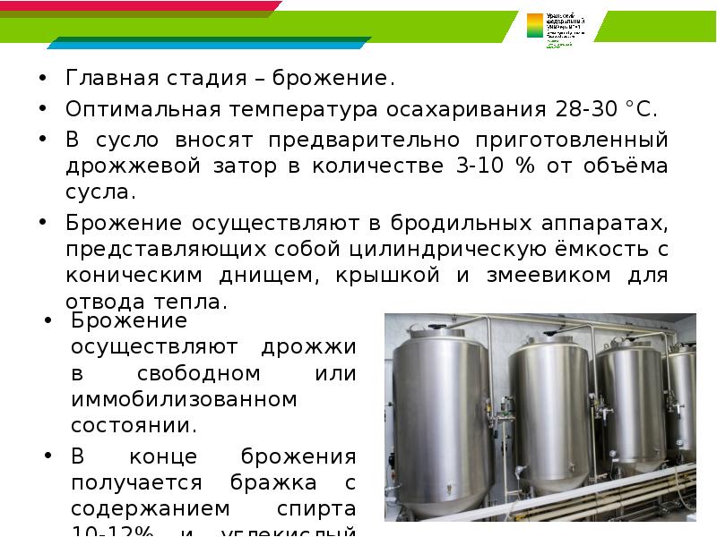 Главная стадия – брожение. Главная стадия – брожение. Оптимальная температура осахаривания
