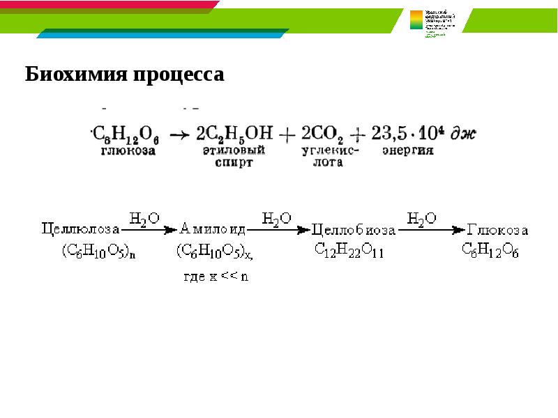 Биохимия процесса