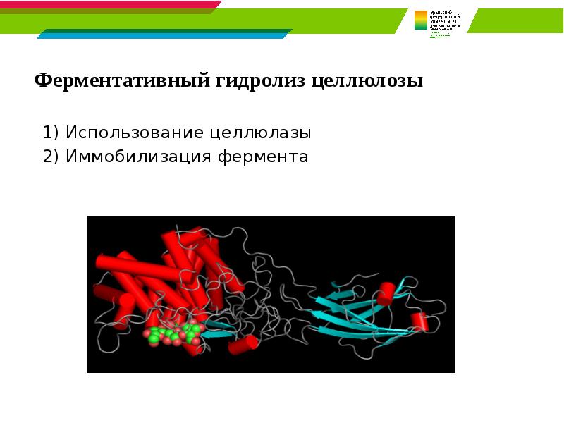 Ферментативный гидролиз целлюлозы 1) Использование целлюлазы 2) Иммобилизация фермента