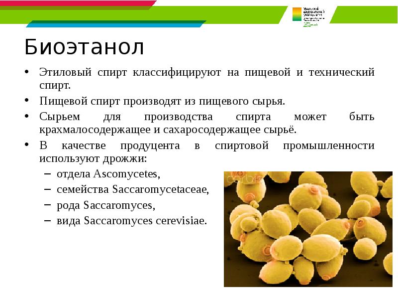 Биоэтанол Этиловый спирт классифицируют на пищевой и технический спирт.  Пищевой