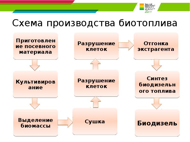 Схема производства биотоплива