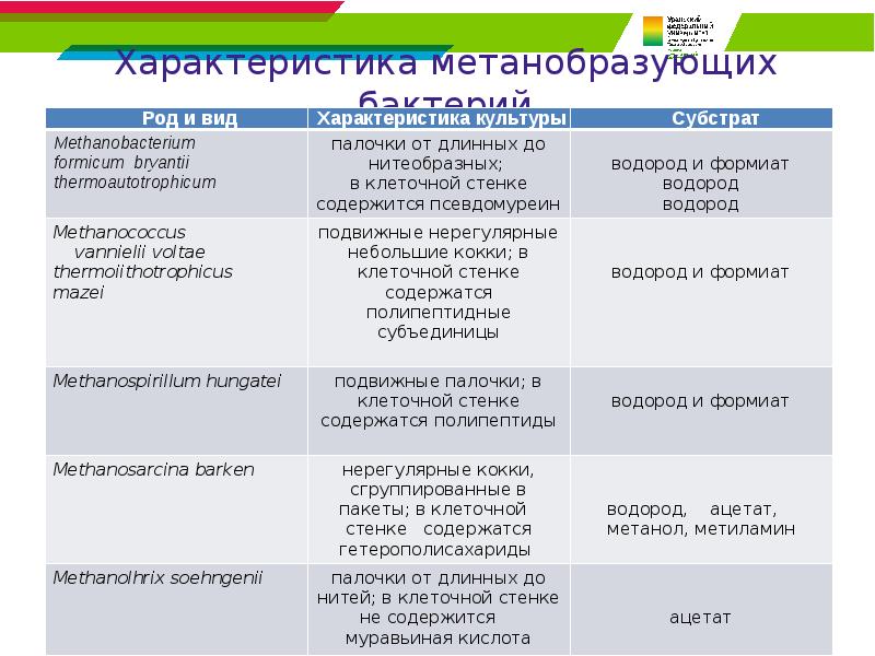 Характеристика метанобразующих бактерий