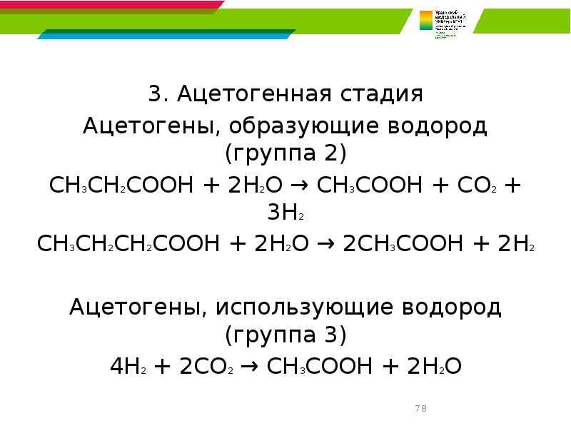 3. Ацетогенная стадия 3. Ацетогенная стадия Ацетогены, образующие водород (группа 2)