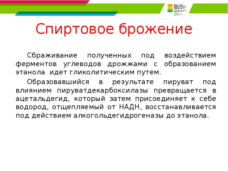 Спиртовое брожение 	Сбраживание полученных под воздействием ферментов углеводов дрожжами с образованием