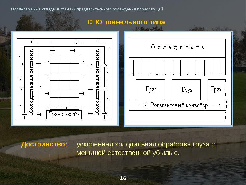 На плане изображено плодоовощное хозяйство расположенное на территории прямоугольной формы