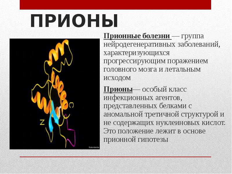 Прионные болезни презентация