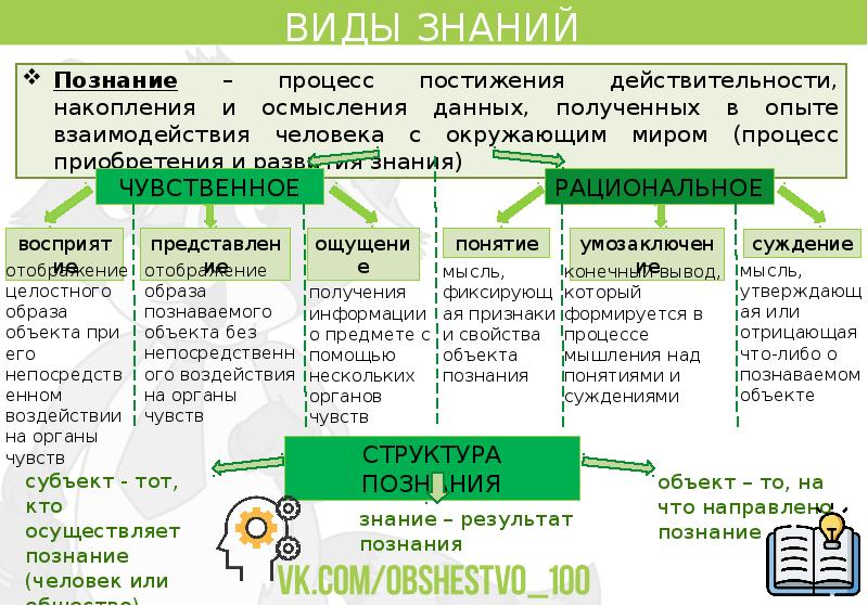 Виды знаний и виды деятельности