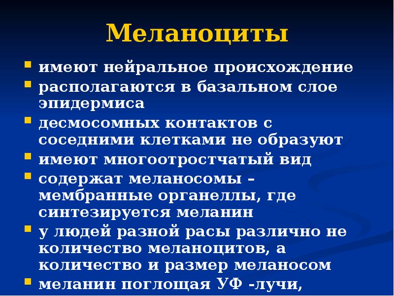 Меланоциты имеют нейральное происхождение располагаются в базальном слое эпидермиса десмосомных контактов
