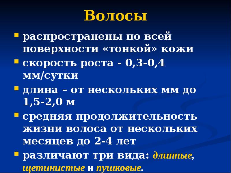 Волосы распространены по всей поверхности «тонкой» кожи скорость роста - 0,3-0,4