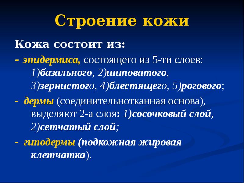 Строение кожи Кожа состоит из: - эпидермиса, состоящего из 5-ти слоев: