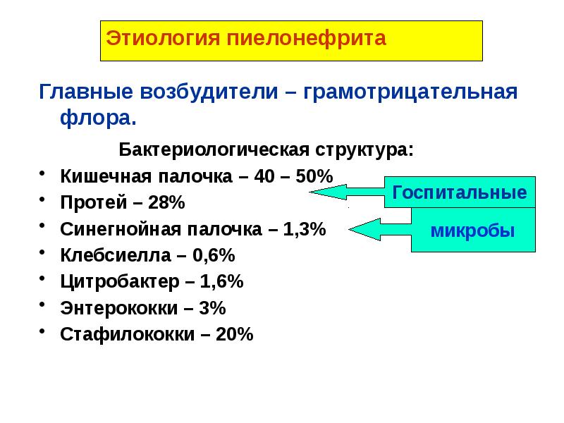 Стул при пиелонефрите