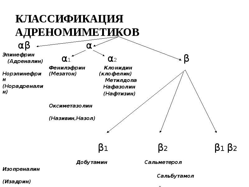 Презентация адреномиметики по фармакологии