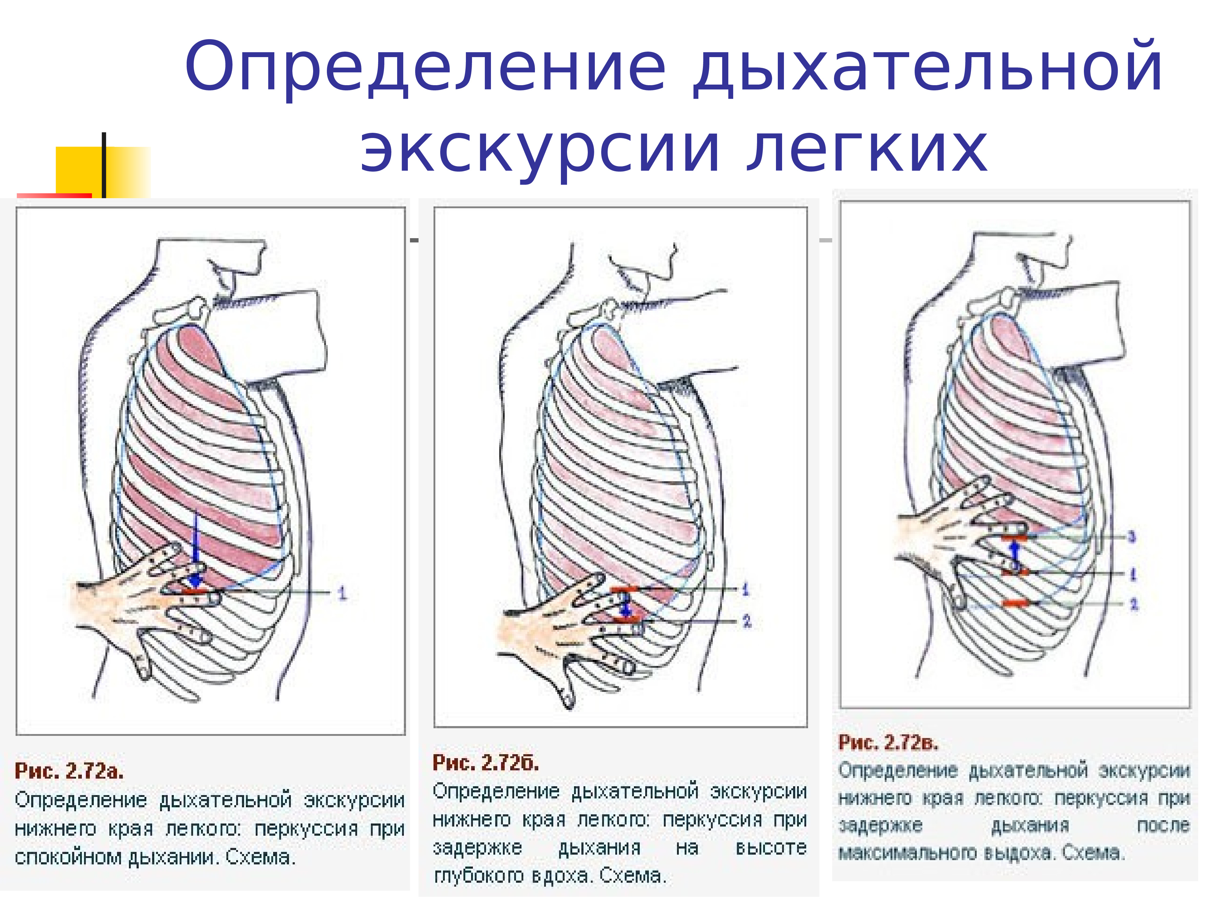 Методы исследования дыхательной системы презентация