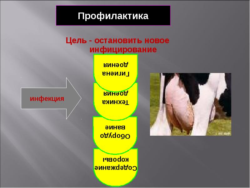 Пороки молока презентация