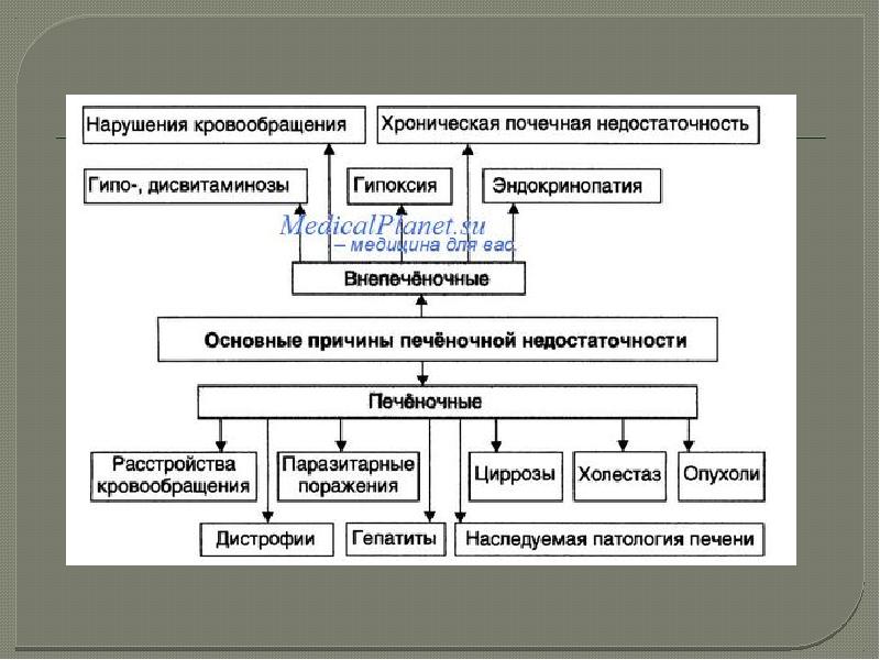 Печеночная недостаточность патофизиология презентация