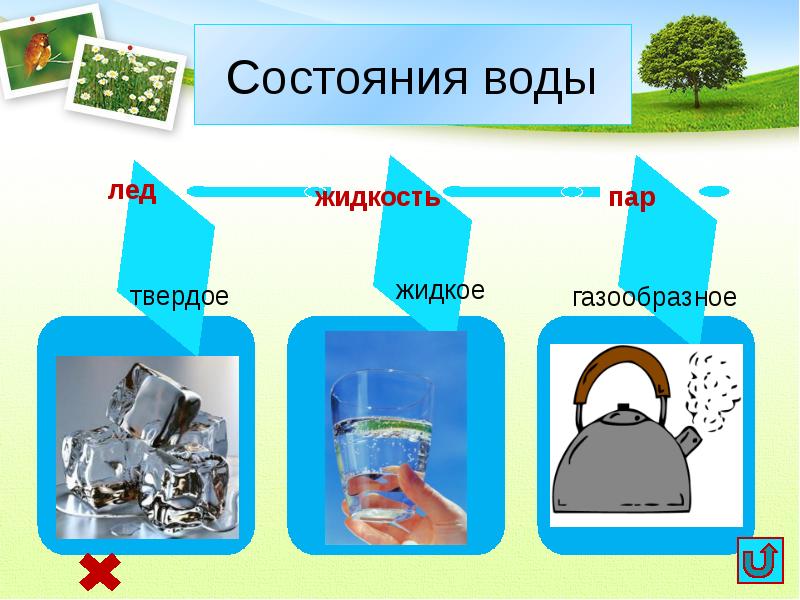 Состояние воды картинки для детей