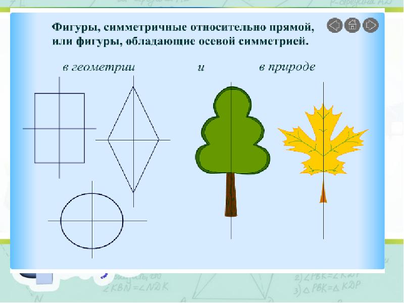 Проект по теме осевая симметрия