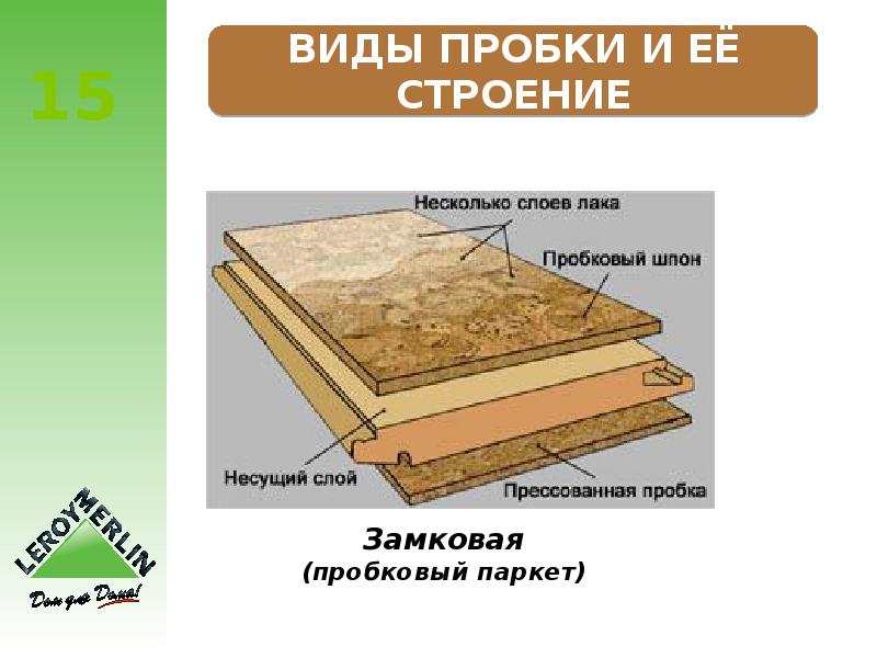 Строение пробки. Структура пробки. Структура пробкового пола. Строение пробкового слоя. Структура пробкового дерева для пола.