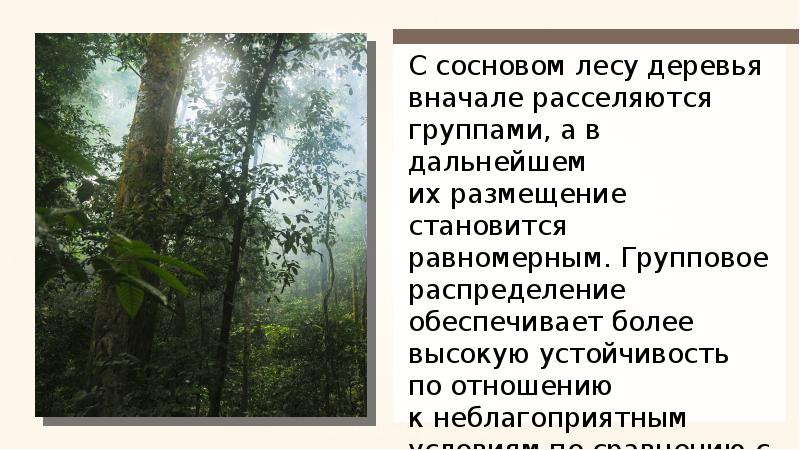 Расселяются вместе со своими хозяевами. Расселяются вместе со своими хозяевами. Как растения расселяются на новые места. Типы взаимодействия в сосновом лесу. Каким образом животные организмы расселяются на новые места.