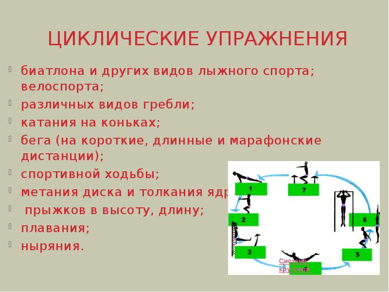 Какие упражнения циклические