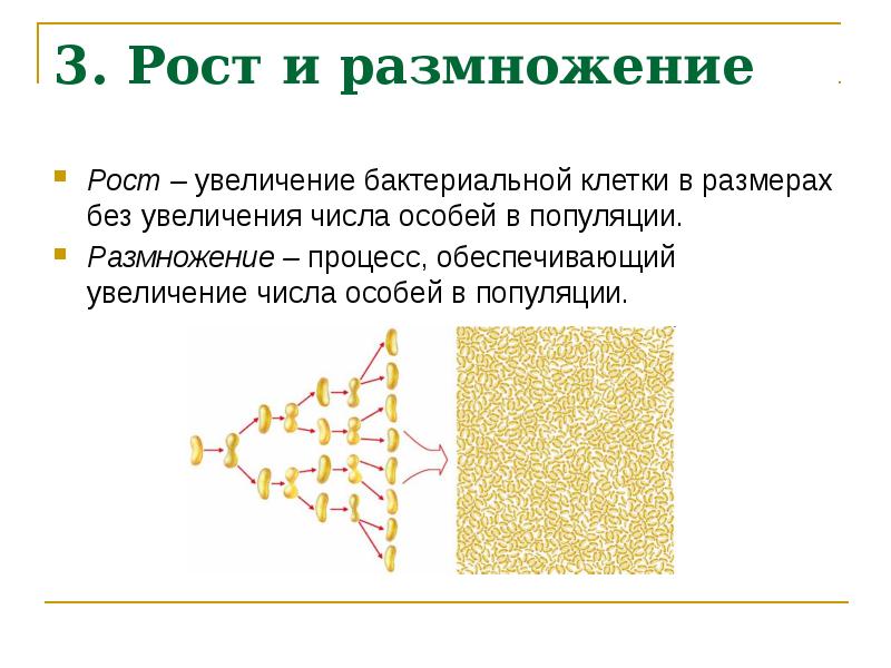 Вирусы и бактерии геометрическая форма презентация