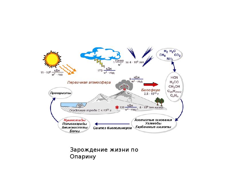 Основные этапы химической эволюции схема