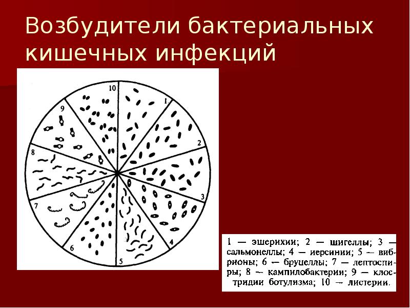 Возбудители бактериальных