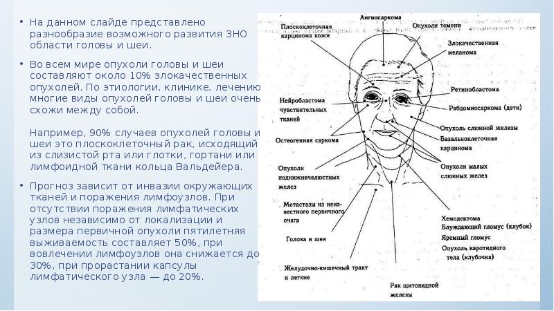 На данном слайде представлено разнообразие возможного развития ЗНО области головы и