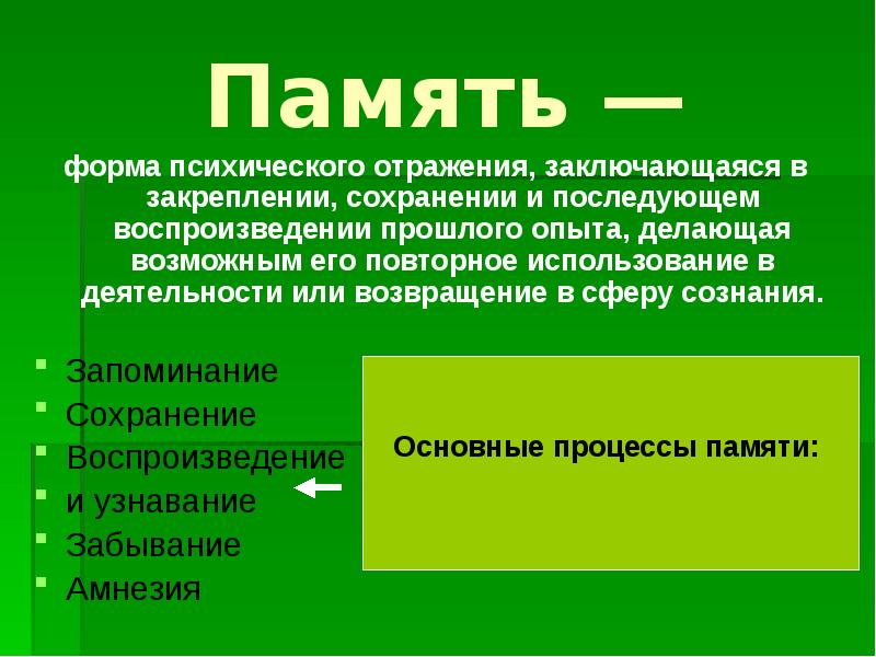 Сохранение прошлого. Память это форма психического отражения заключающаяся в закреплении. Формы психического отражения. Формы психической деятельности память. Форма отражения (психические процессы).